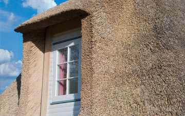 Raehills thatch roof disadvantages